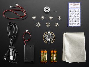 FLORA Sensor Pack ( 플로라 센서 팩 )
